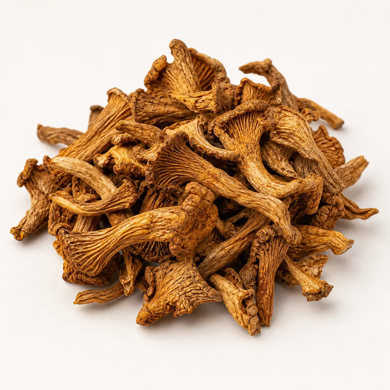 Chanterelle Mushroom dried wholesale product