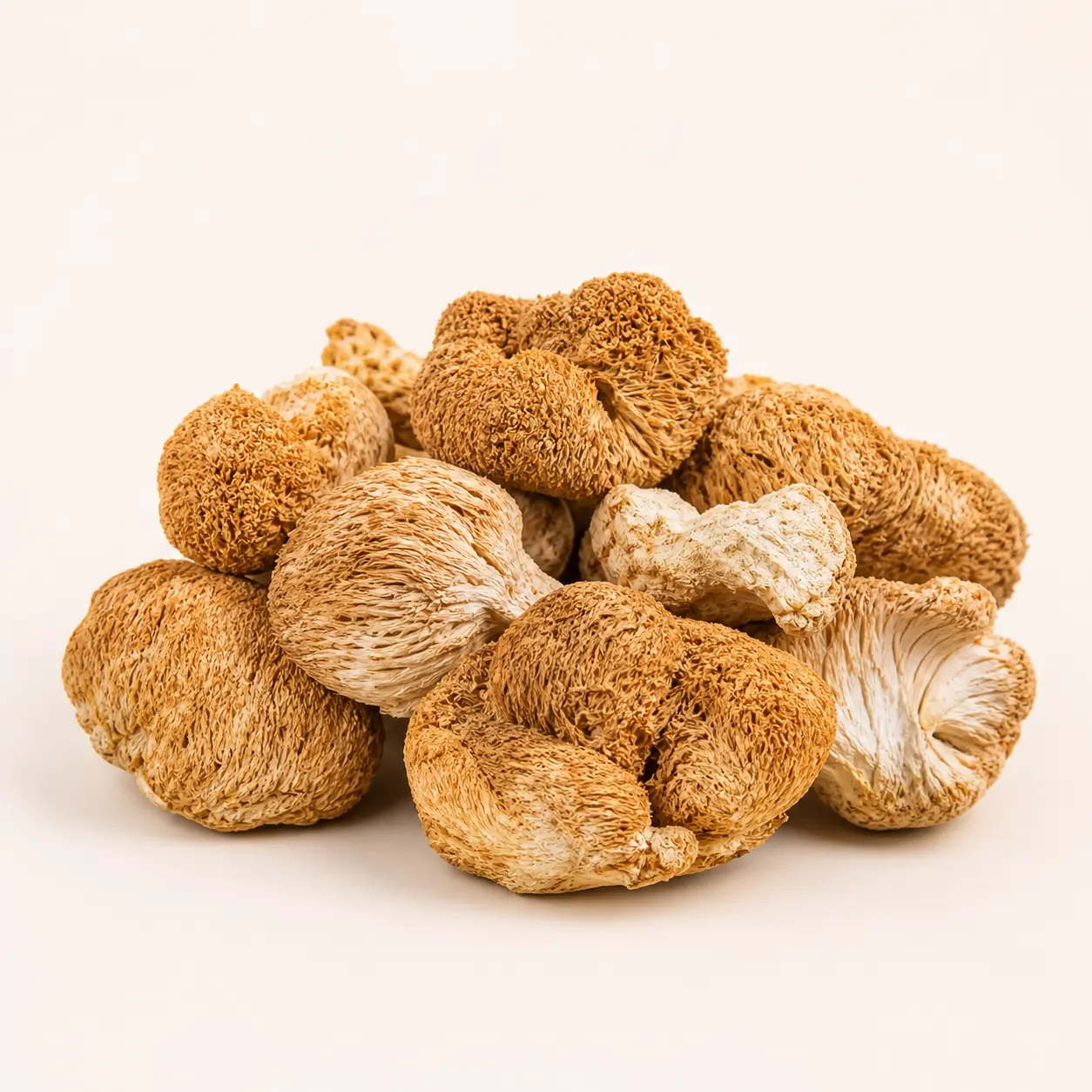 Lion’s Mane Mushroom dried wholesale product