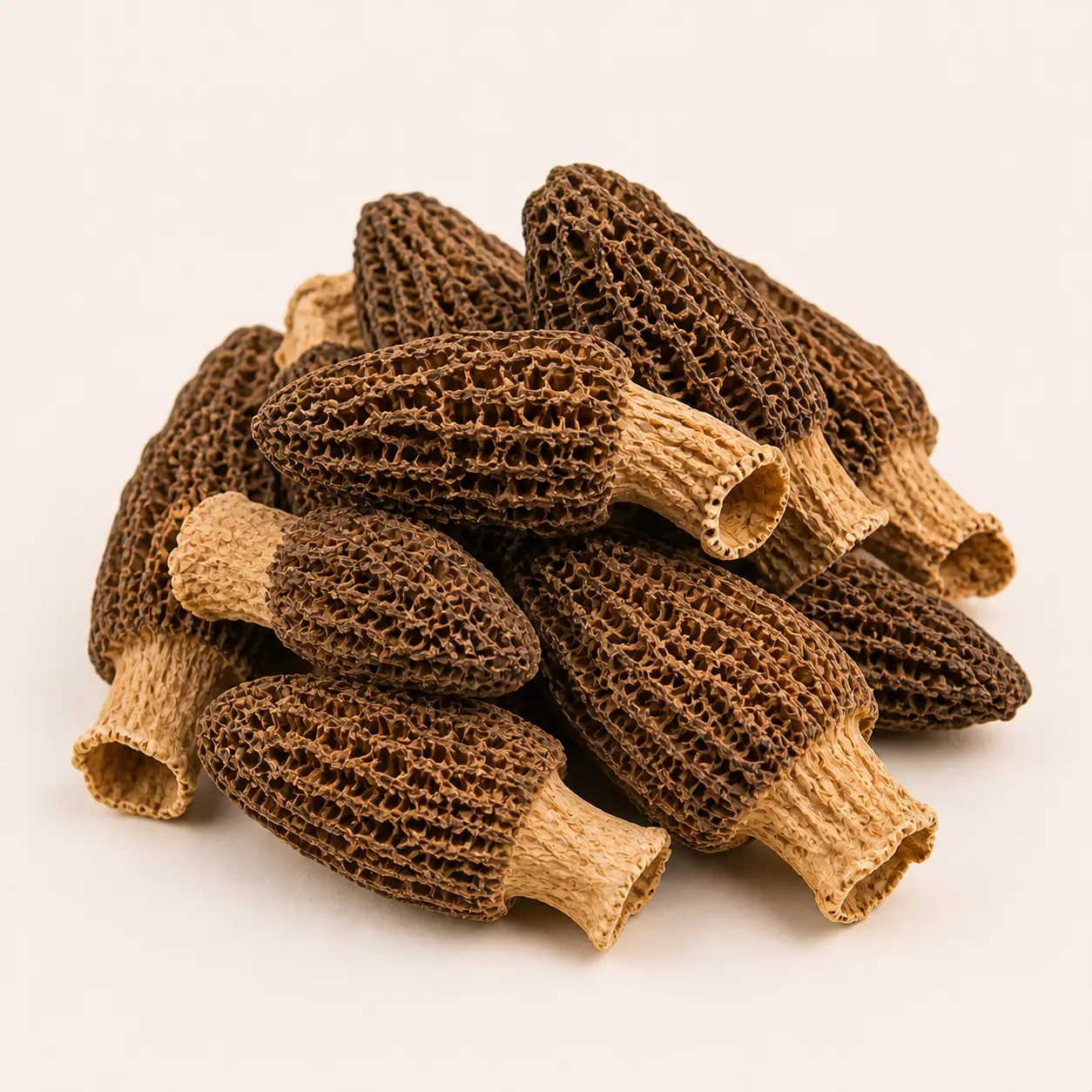 Morel Mushroom Large dried wholesale product
