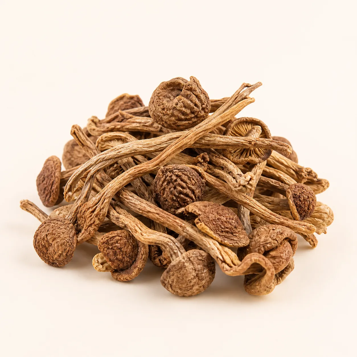 Tea Tree Mushroom dried wholesale product